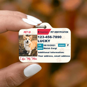 Not All Who Wander Are Lost But I Might Be Personalized Pet Tag